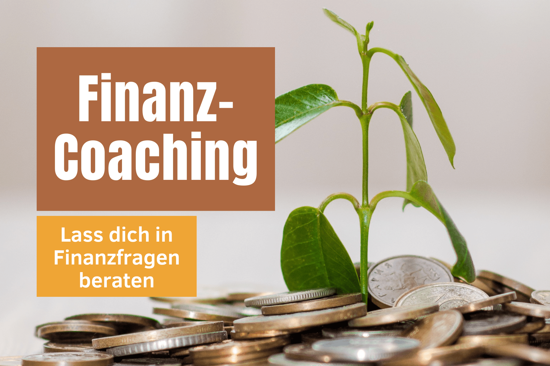 Finanz-Coaching